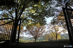 花畑園芸公園01