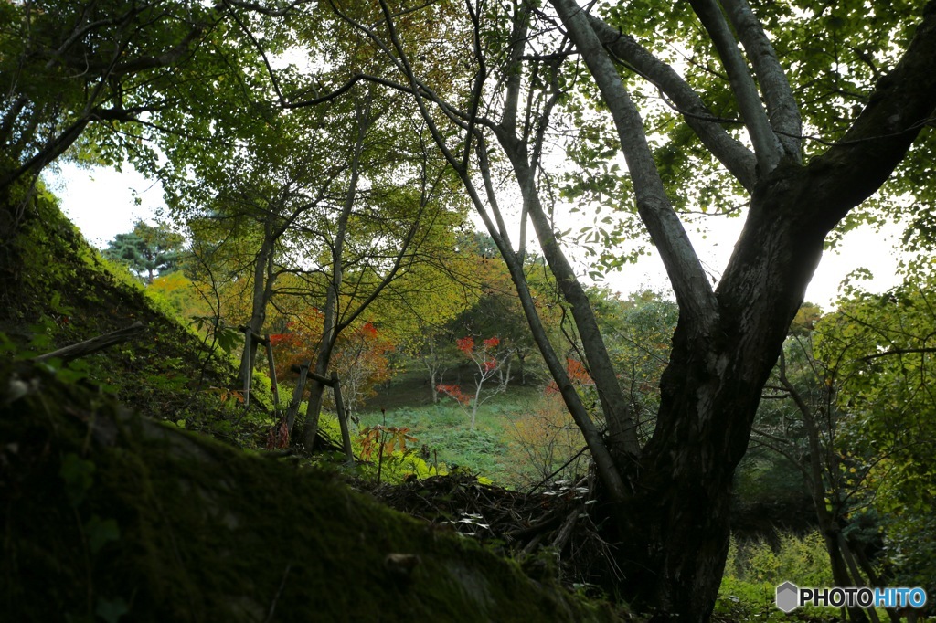 油山市民の森02