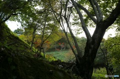 油山市民の森02