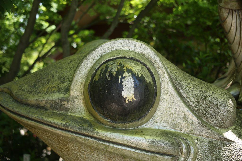 2024.かえる寺