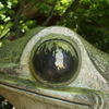 2024.かえる寺