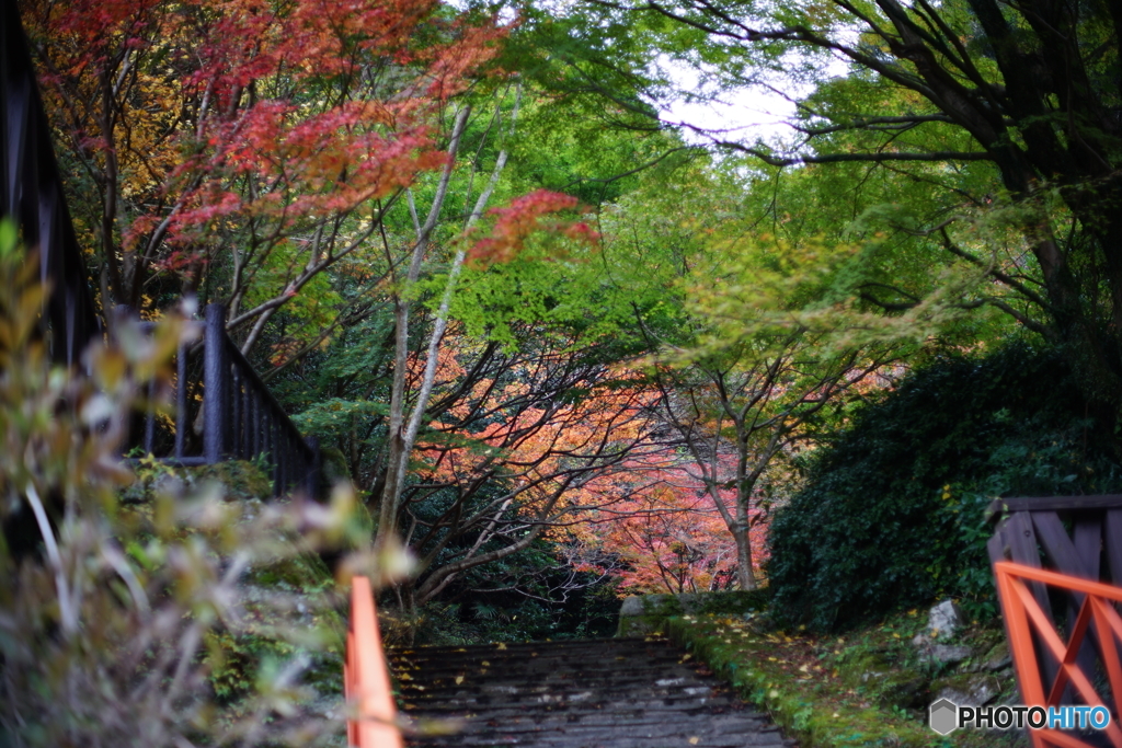 DSC01904