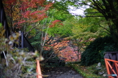 DSC01904