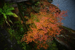 DSC01954