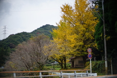 DSC01951