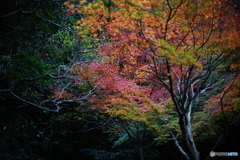 DSC01913