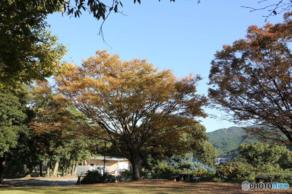 花畑園芸公園02