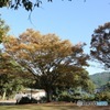花畑園芸公園02