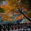DSC01906