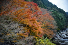DSC01952