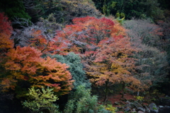 DSC01947