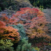 DSC01947