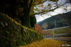 DSC01942