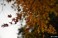 DSC01900