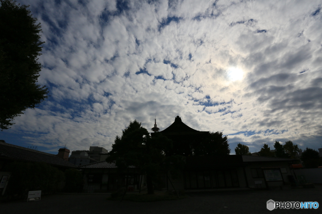 京都01
