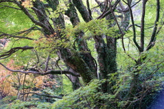 DSC01926