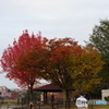 DSC01668