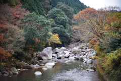 DSC01950