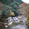 DSC01950