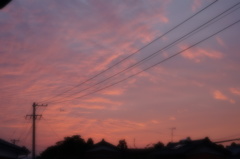 優しい夕焼け