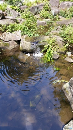20140720_133432
