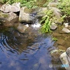 20140720_133432