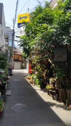 路地
