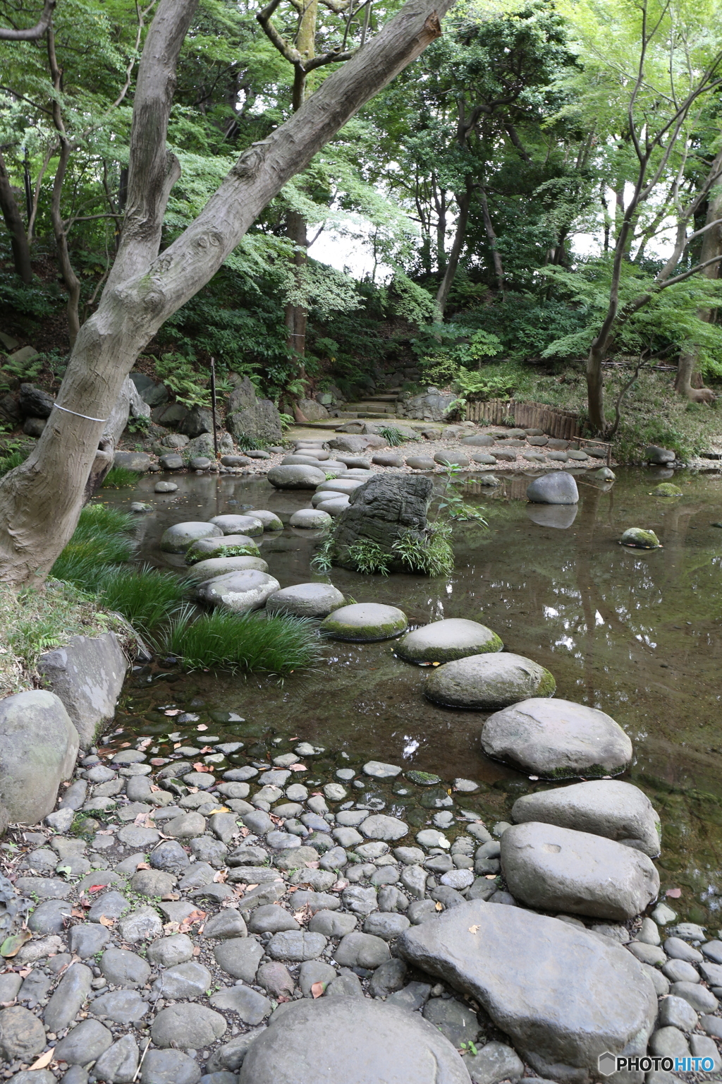 飛石 in 小石川後楽園