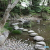 飛石 in 小石川後楽園