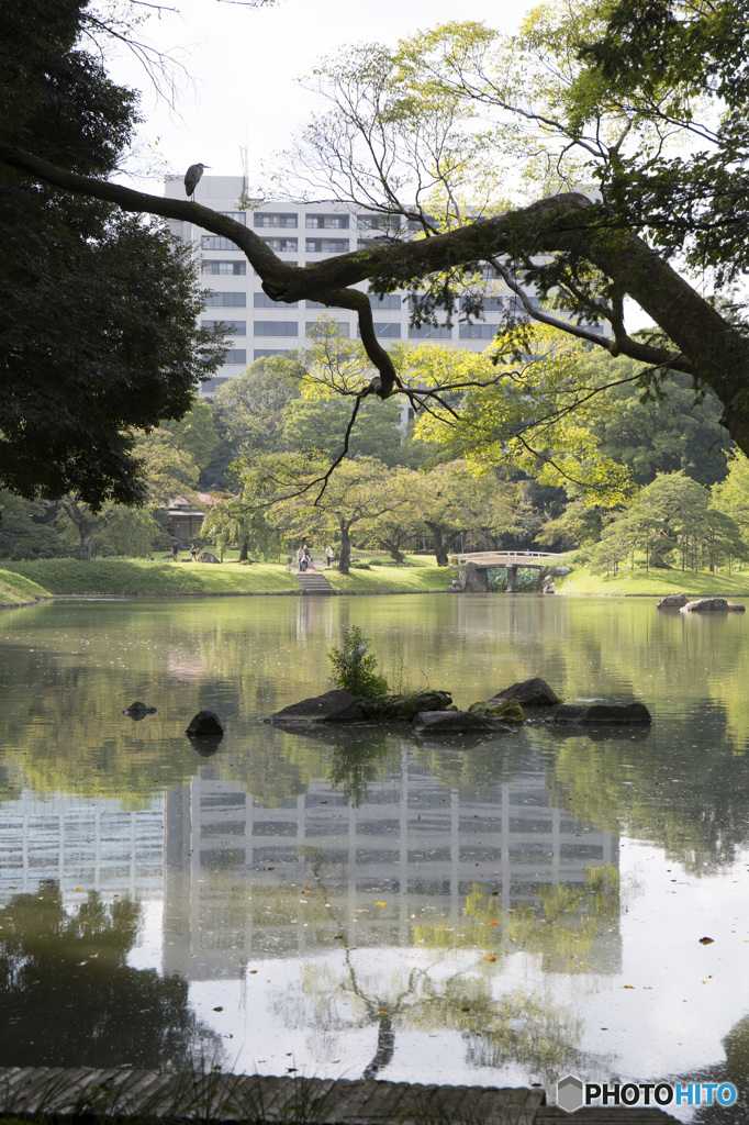 大泉水 in 小石川後楽園