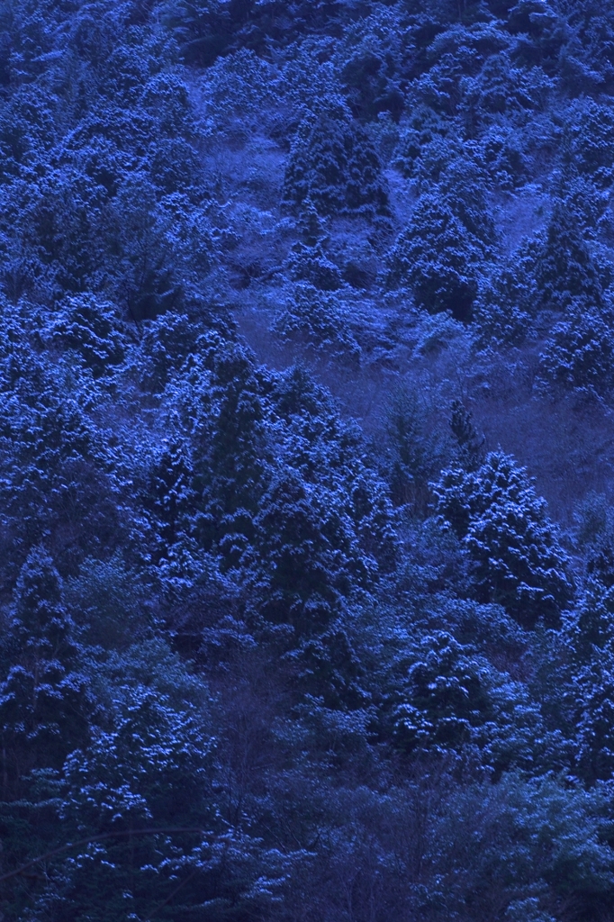 山が白む