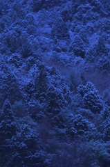 山が白む