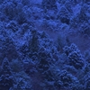 山が白む
