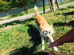 えんちゃんと遊ぶ☺︎楽しみすぎ♡