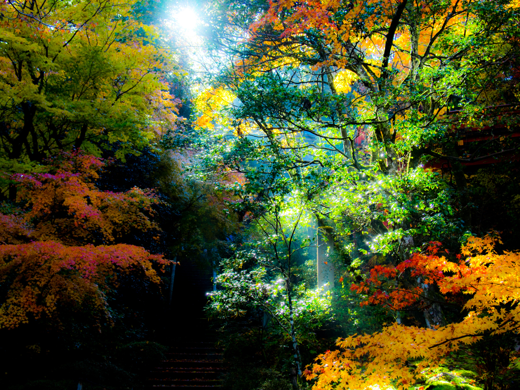 晩秋の那谷寺