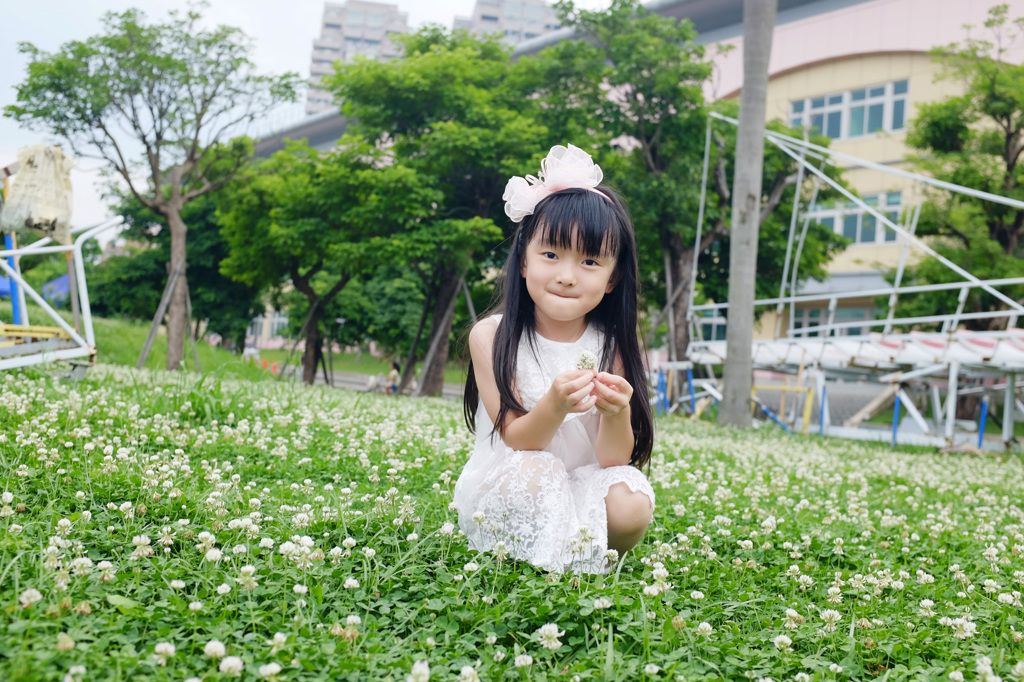 花泥棒?