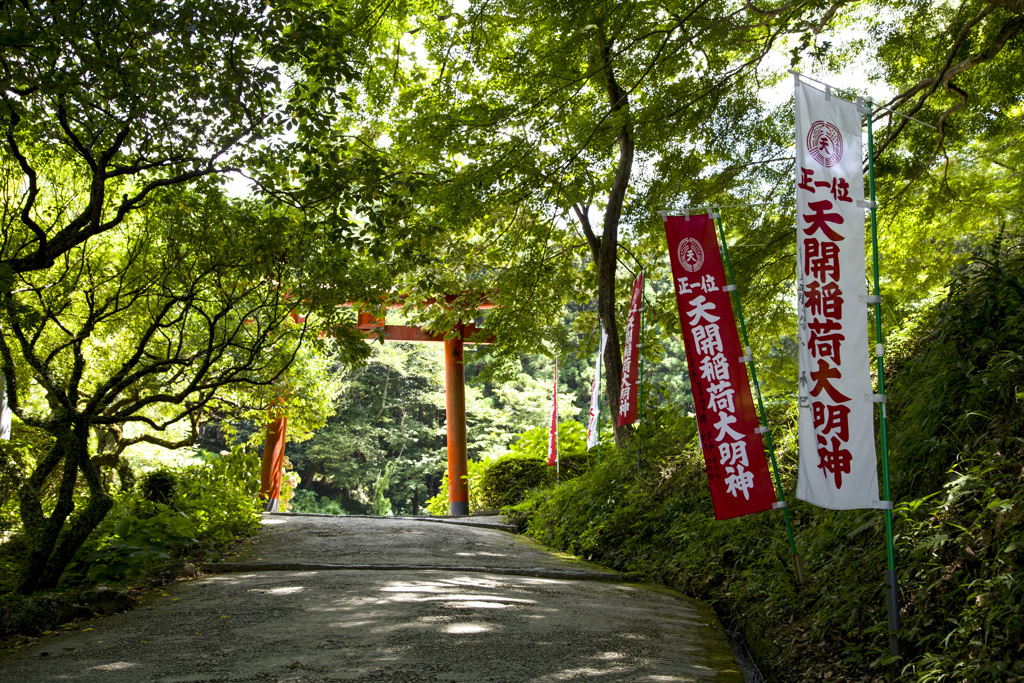 緑の鳥居