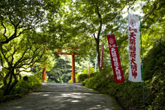 緑の鳥居
