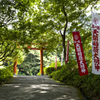 緑の鳥居