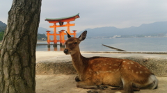 撮らせてあげる
