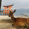 撮らせてあげる