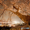 夜桜 2