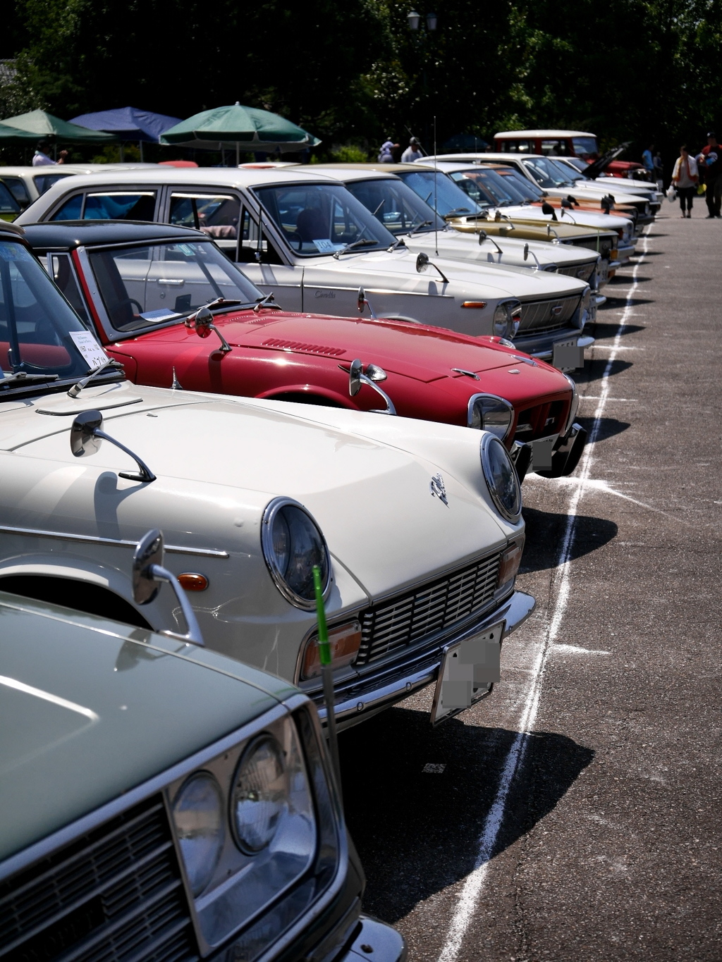 Classic Car Meeting