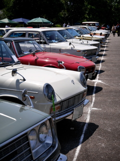 Classic Car Meeting