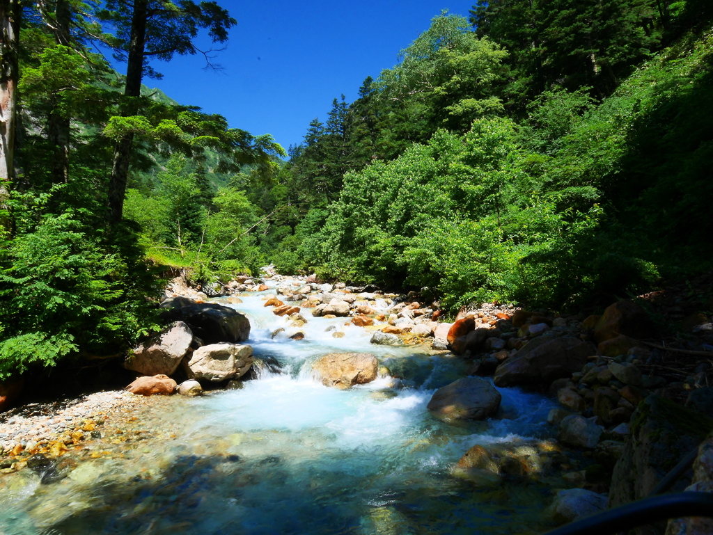 夏沢