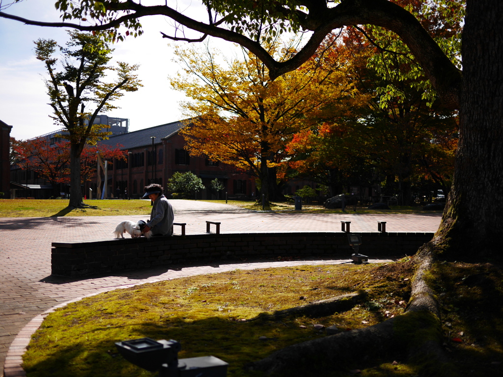 木のある風景