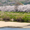 背割堤遠景