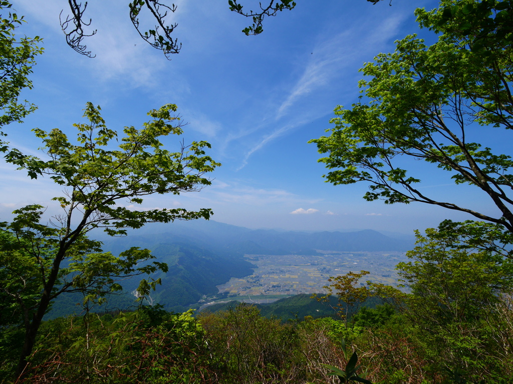 大野に臨む