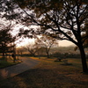 始まりの木場潟公園