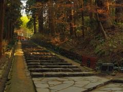 木漏れ日参道